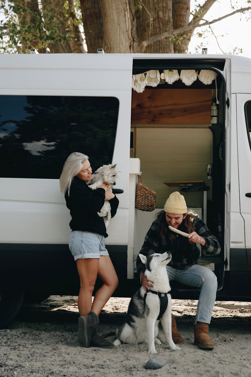 man woman and two dogs standing beside a campervan